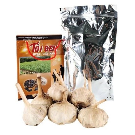 Tỏi đen Học Viện Quân Y - 2