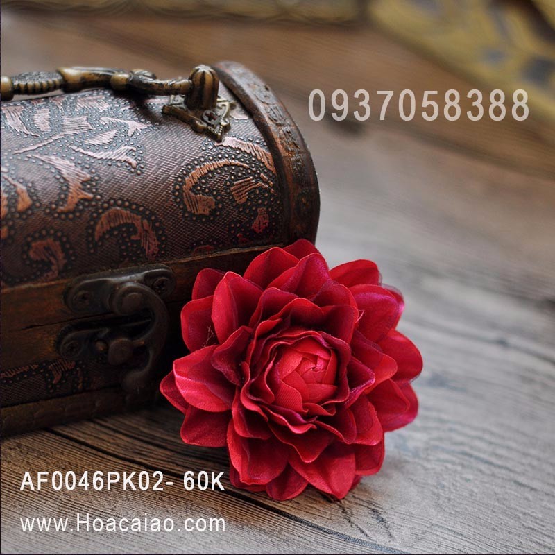 Cài áo nữ Cài áo nữ