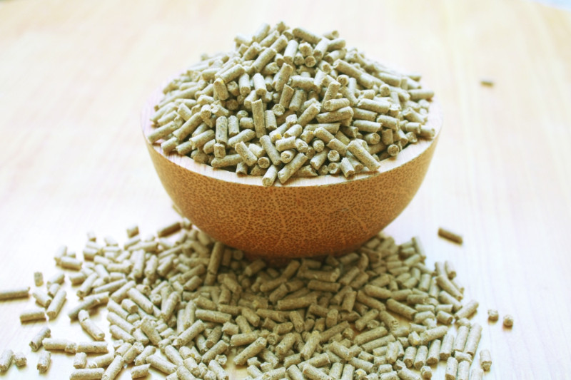 Thức ăn cho thỏ, thỏ kiểng, thỏ sinh sản