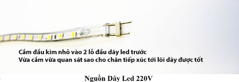 LxuMtP_simg_d0daf0_800x1200_max.jpg