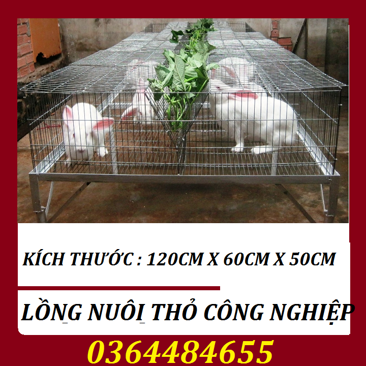 LỒNG THỎ