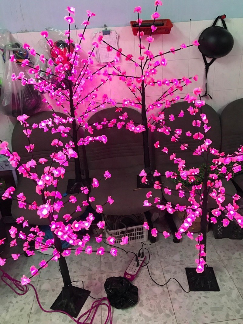nqXcMg_simg_d0daf0_800x1200_max.jpg