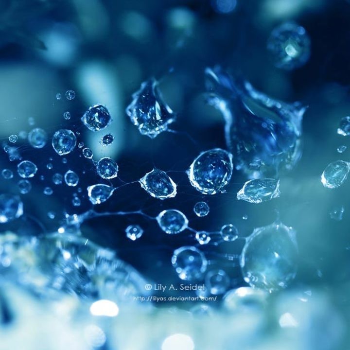 SbKZAz_simg_d0daf0_800x1200_max.jpg