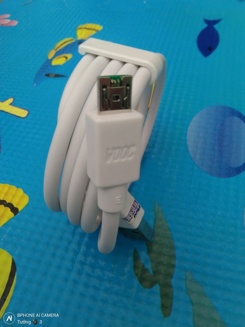 YRHXWx_simg_d0daf0_800x1200_max.jpg