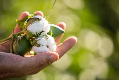 Áo khoác nữ chỗng nắng, thoát nhiệt thương hiệu goking Áo khoác nữ chỗng nắng, thoát nhiệt thương hiệu goking