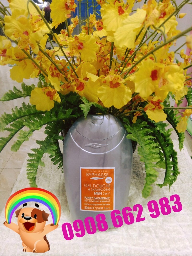 sua-tam-byphasse-men-shower-gel-shampoo-2-in-1-funky-savanah