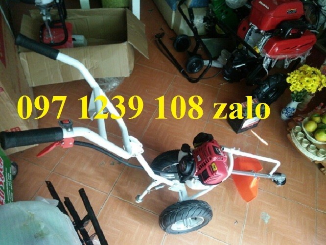 C9nVBr_simg_d0daf0_800x1200_max.jpg