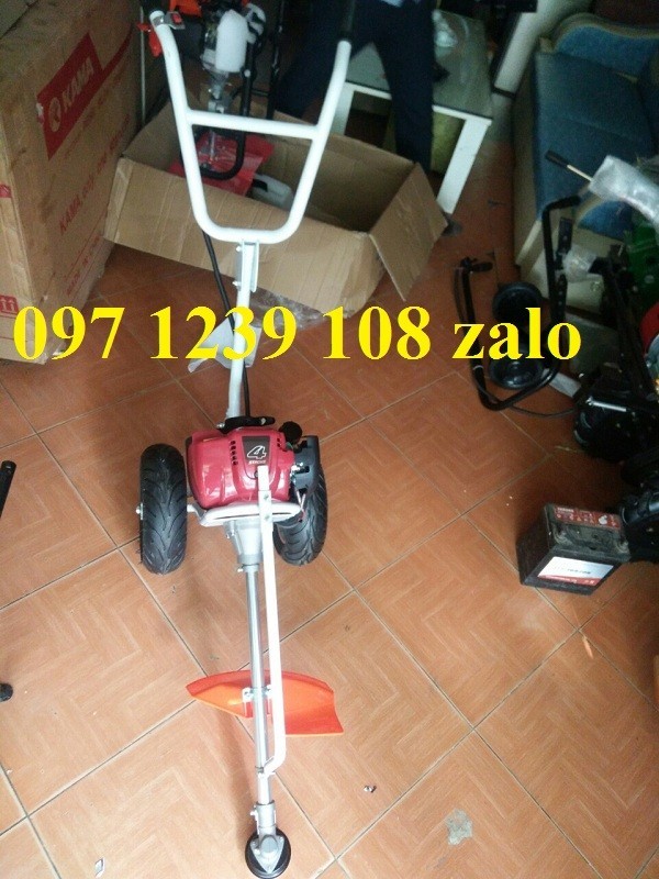 WUoZMK_simg_d0daf0_800x1200_max.jpg