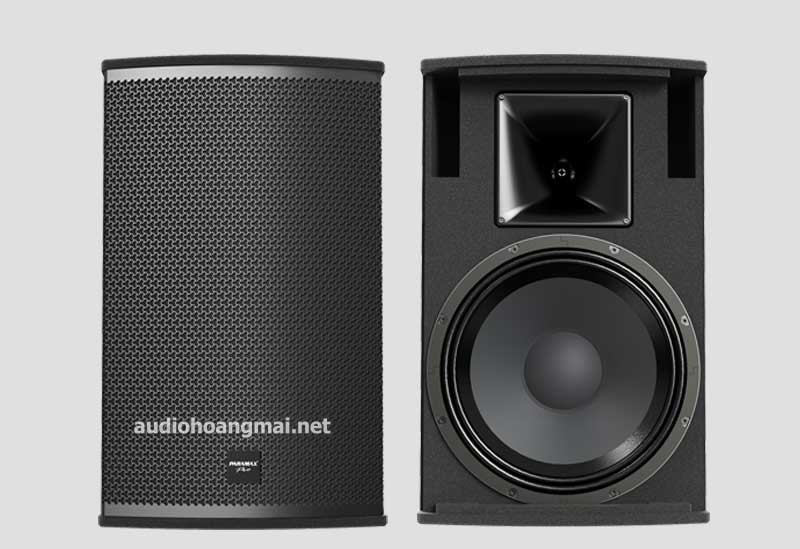 Loa Paramax Pro s40