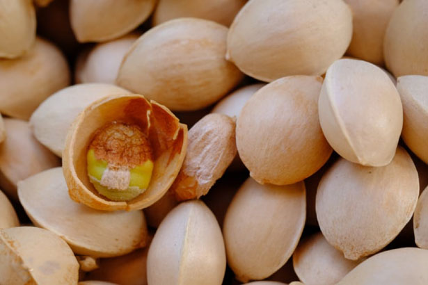 Ginkgo biloba (bạch quả) thảo dược cải thiện sức khỏe trí não