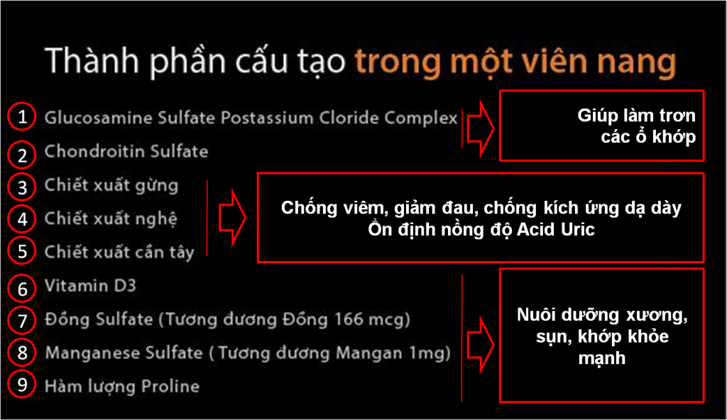 Thanh phan cau tao vien xuong khop GO Glucosamine