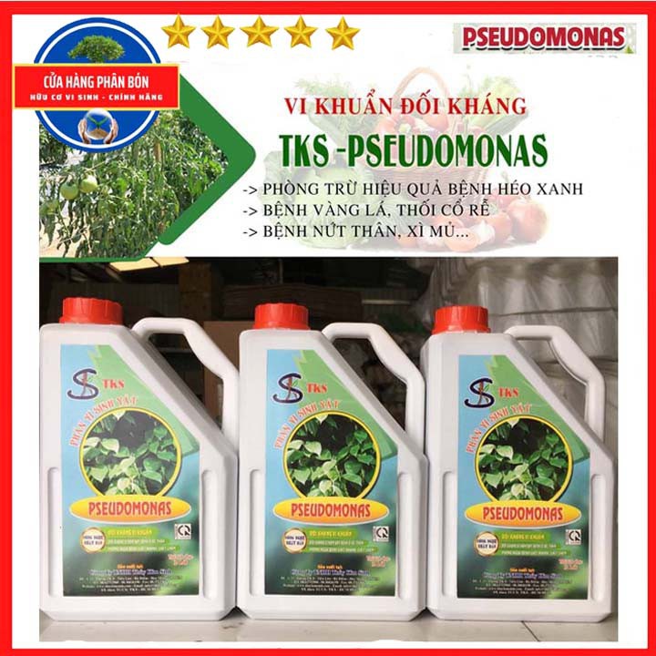 PSEUDOMONAS:Phòng Trừ Bênh Héo Xanh, Thối Rễ.ối Kháng Nấm Khuẩn,