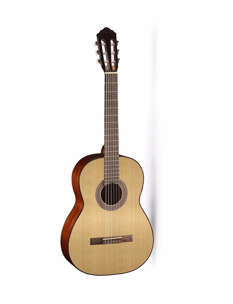 Đàn guitar Cort AC100