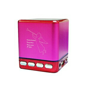 Loa nghe nhạc usb thẻ nhớ t2030