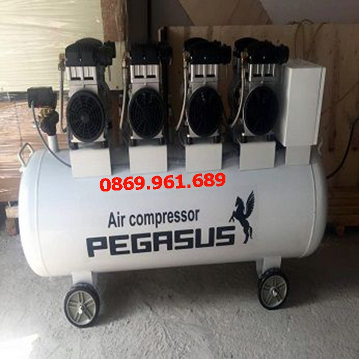 Máy nén khí dây đai Pegasus TM-OF1100X4-300L