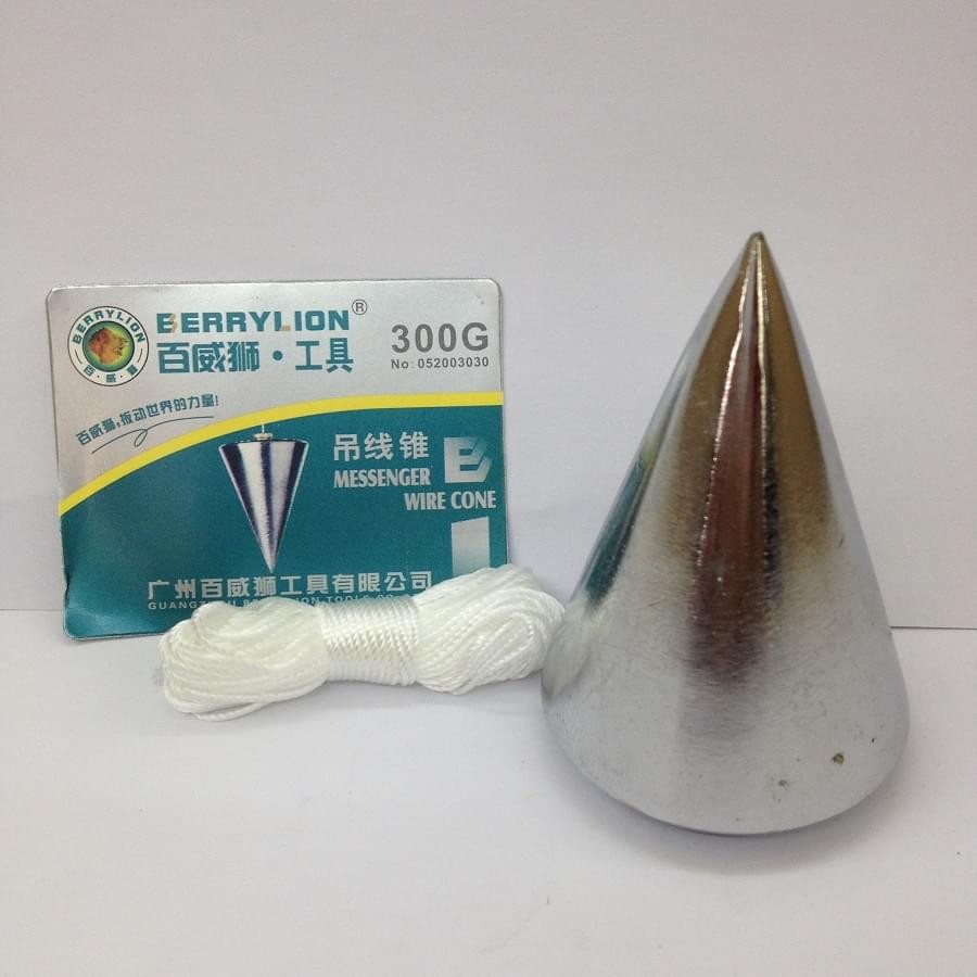 Quả rọi Berrylion 052003030 300G