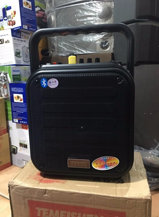 Loa kéo temeisheng a6-4 tặng kèm mic không dây