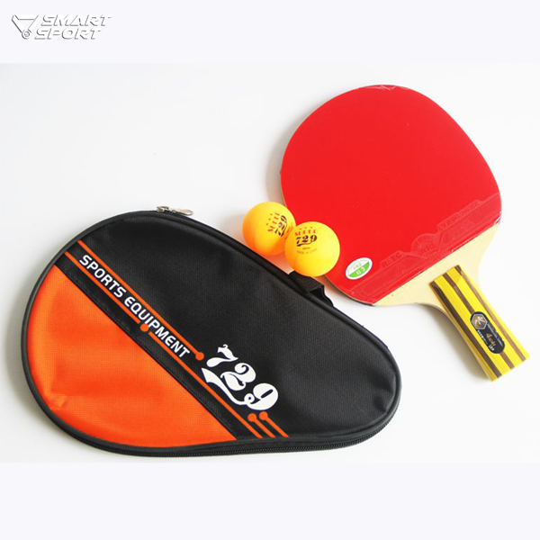 Vợt bóng bàn 729 cao cấp 2010