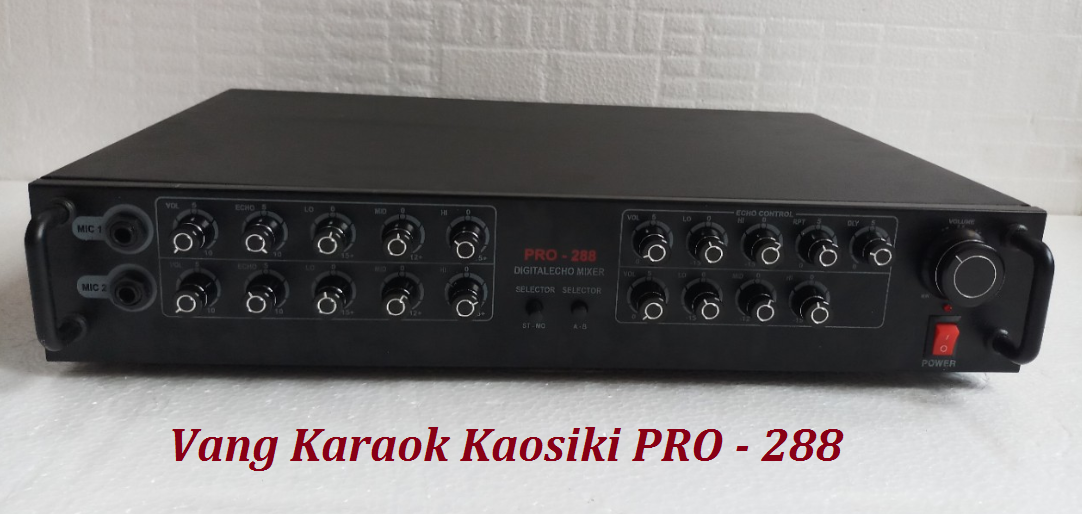 Vang Karaok Kaosiki PRO 288
