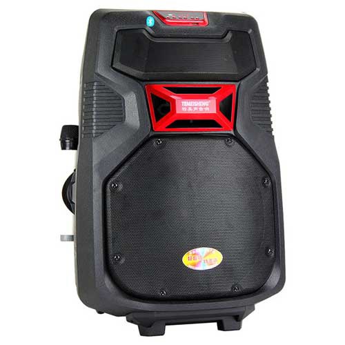 Loa trợ giảng dạng kéo Temeisheng A38