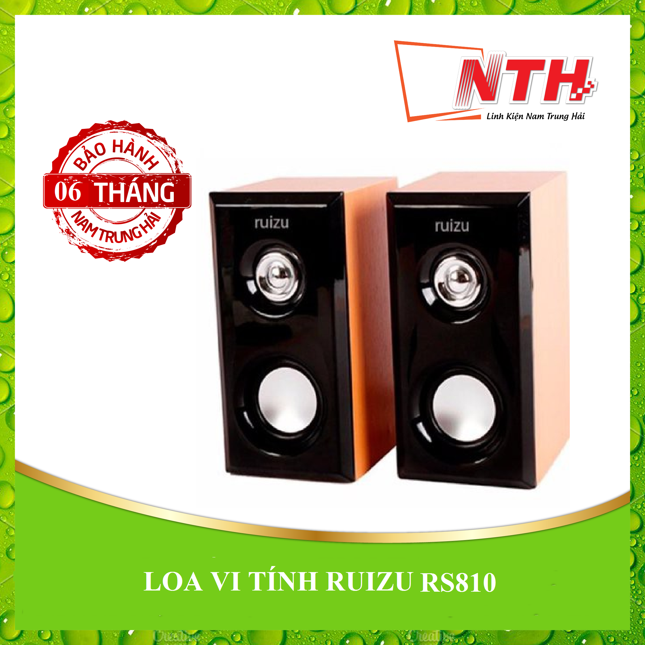 Loa ruizu rs 810