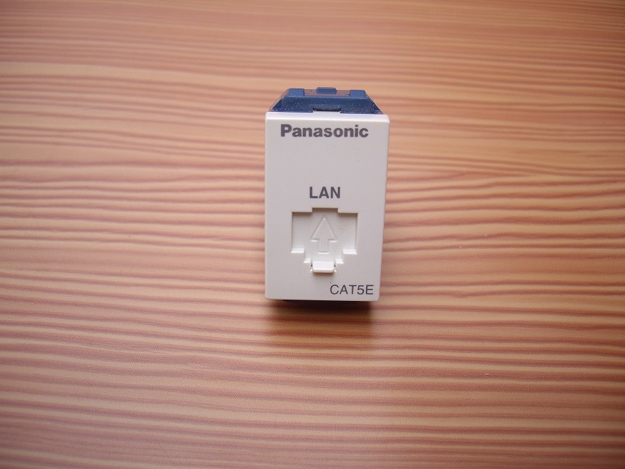 Ổ cắm data Panasonic WEG2488