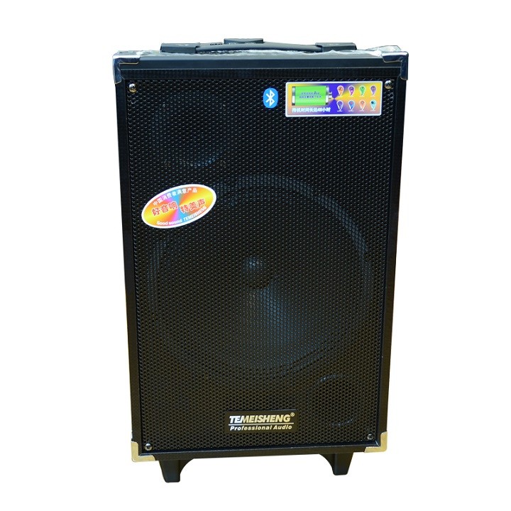 Loa kéo di động mini Temeisheng A10-2
