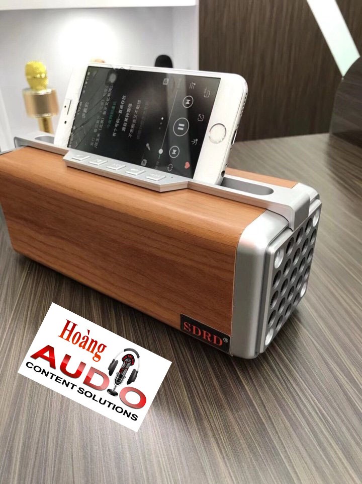 Loa Bluetooth SD 204