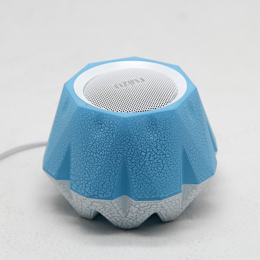 Loa Ruizu D01
