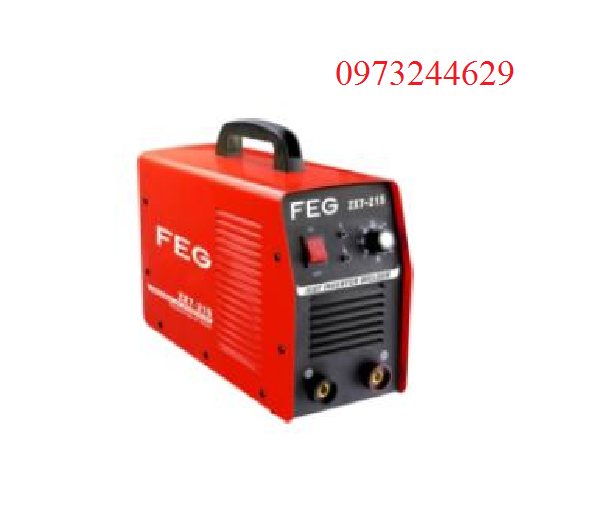 Máy hàn que FEG ZX7 215