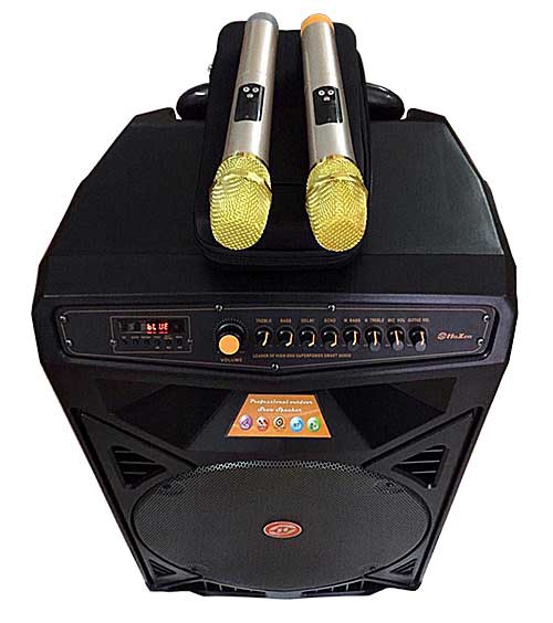 Loa kéo di động Hoxen T15