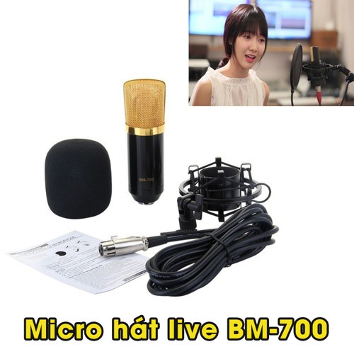 Micro thu âm ISK BM-700