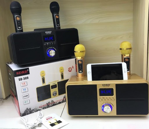 Loa karaoke SD-309