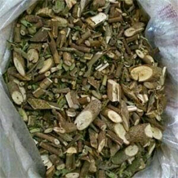 sỉ giá gốc siêu rẻ 2kg cây an xoa (Mã SP: 2kg cây an xoa)