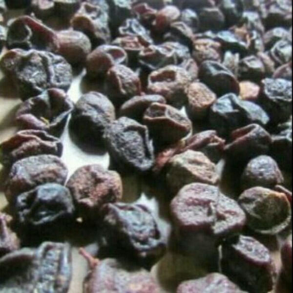 sỉ giá gốc siêu rẻ 100g quả mắc mật (Mã SP: 100g mắc mật)