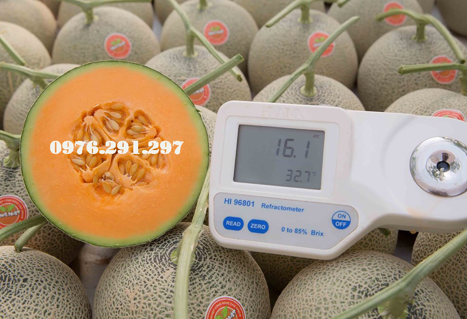Máy đo độ ngọt HANNA HI 96801