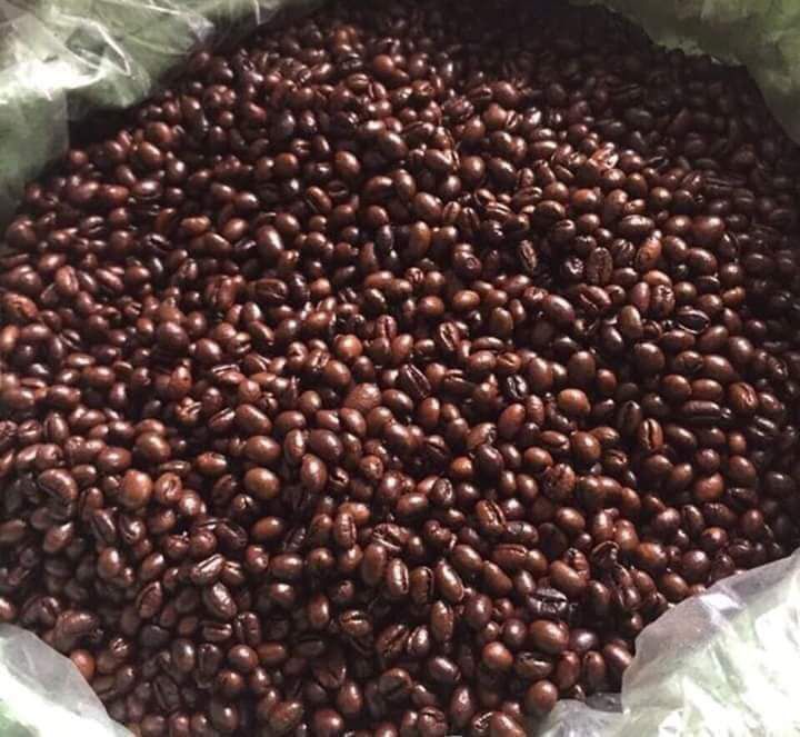 CAPHE HẠT RANG MỘC (Mã SP: 042)