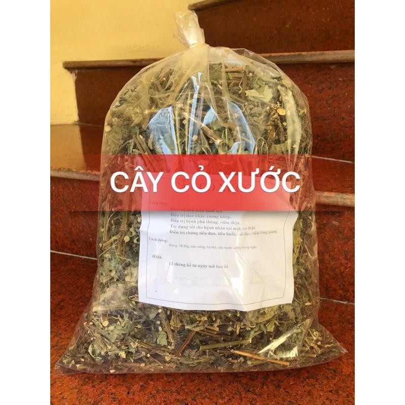Cây cỏ xước khô 1kg (Mã SP: cây cỏ xướt)
