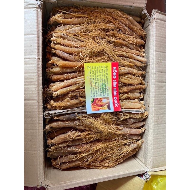 100g nhân sâm hồng sâm sấy dẻo Hàn Quốc (Mã SP: 2531_95826873)