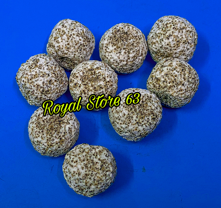 Sứ lọc vật liệu lọc cho bể cá cảnh (Sứ bi mè đen) (Mã SP: 4240_99575688)