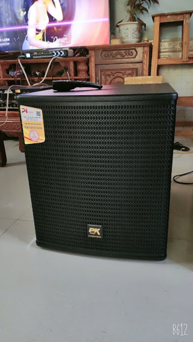 Loa sub cao cấp PK acoustic , hàng chuẩn hãng, main có vỉ làm mát (Mã SP: Loa Pk SW15)