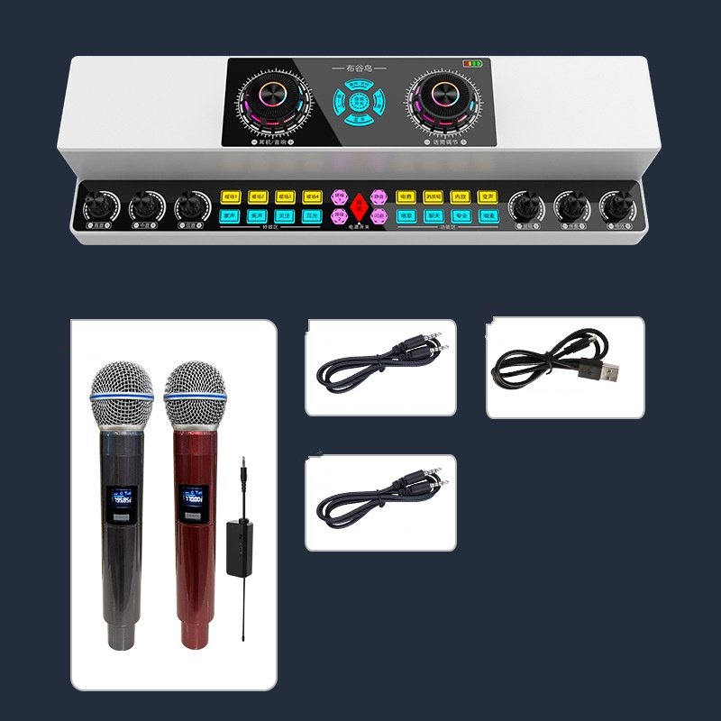 Bộ Karaoke di động có mixer KTV PlayTech (gồm 2 mic) - thay đổi âm thanh tùy ý (Mã SP: 2-E3-T-16-2023)