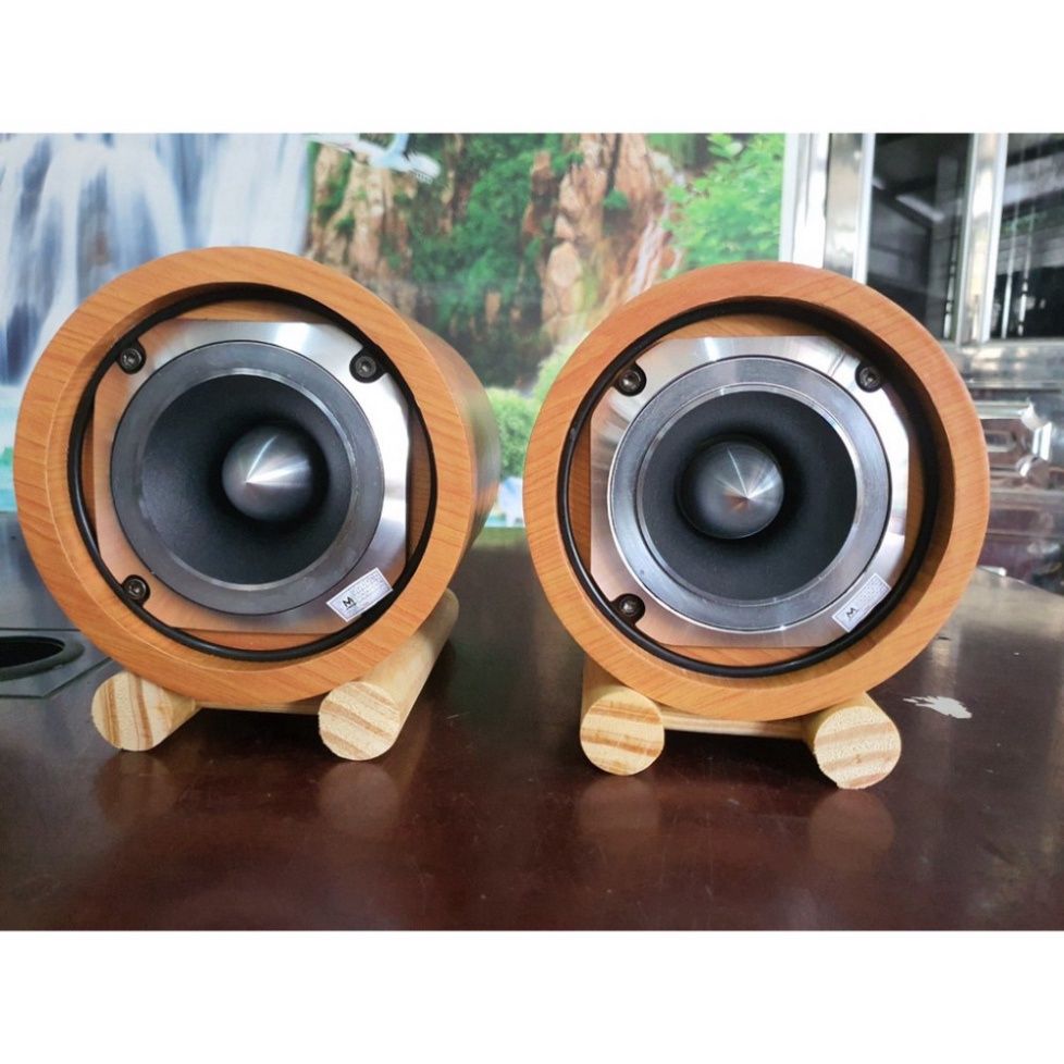 Loa siêu treble cao cấp AT9 công suất 120w vẻ ngoài sang trọng bổ sung tiếng tép cho dàn loa (Mã SP: SU27)