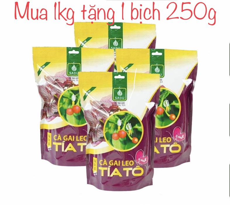 Trà túi lọc cà gai leo tía tô 1kg tặng 1 bịch 250g (Mã SP: 1GKCGLTIATOTANG250G)
