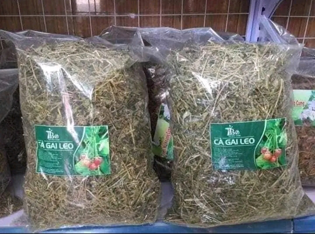 CÀ GAI LEO HÒA BÌNH 1KG mát gan, hỗ trợ hạ mỡ máu (Mã SP: 3657_116248504)