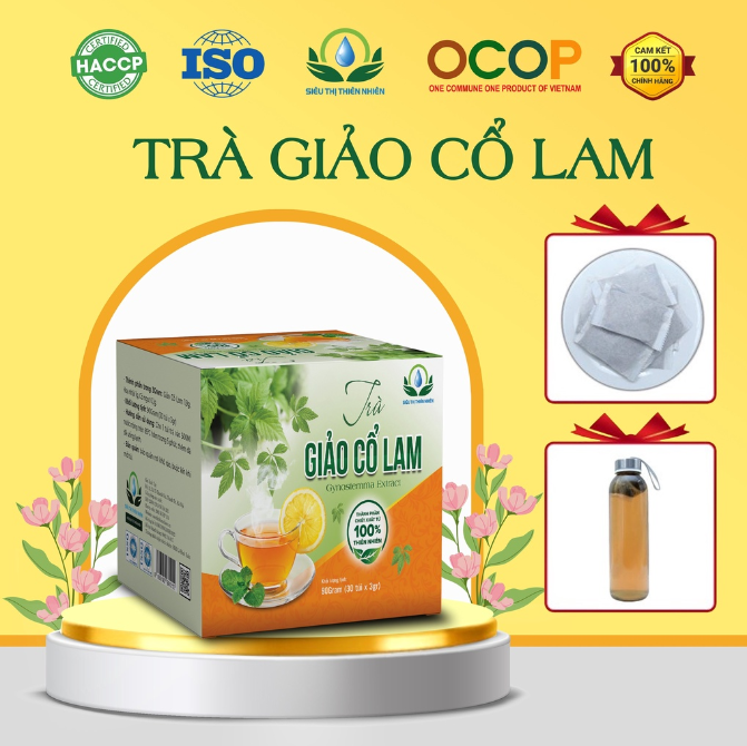 Trà Giảo Cổ Lam hộp 30 Túi Lọc x 3Gram giúp giảm béo, giảm căng thẳng, bảo vệ gan (Mã SP: STTNTGCL30)