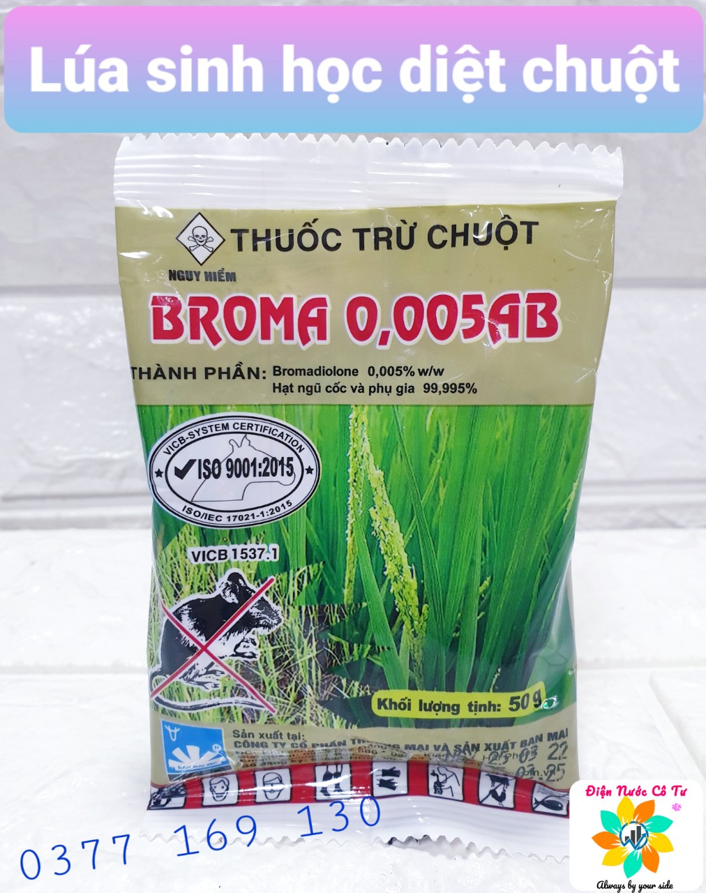 Thuốc diệt chuột Lúa diệt chuột Broma cam kết chuột mất tích sau 2 3 ngày