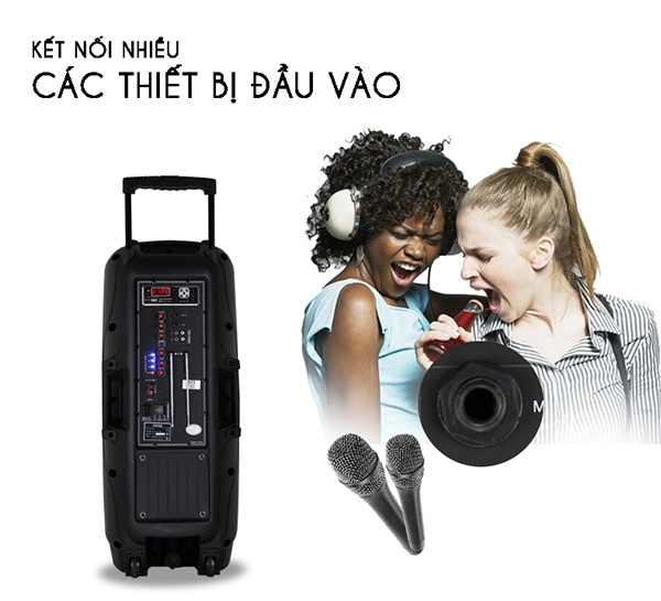 Loa Kéo Di Động Feiyang A73 2 Loa Bass 4