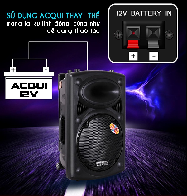 Loa Kéo Temeisheng 297 loa bass siêu trầu 7