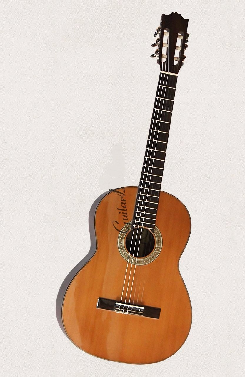 CLassic guitar Việt Nam DC300 màu nâu